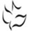 Welcome to Calvary Chapel Roma Church News